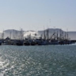 Meet your Posher, Marvin